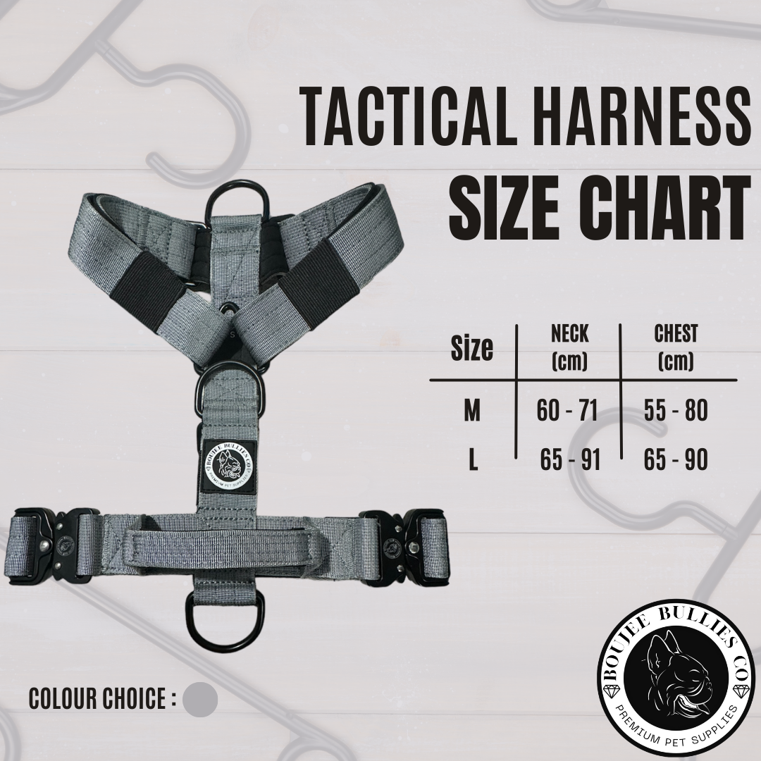 Tactical Harness - Achromatic Grey